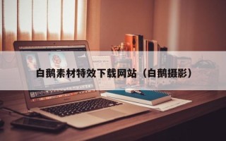 滕州白鹅素材特效下载网站（白鹅摄影）